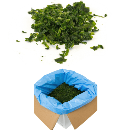 SupHerb Farms Cilantro Large  5 Pound Bag 1 per Case