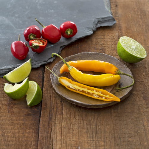 Cooked Sambal Sauce - Recipe