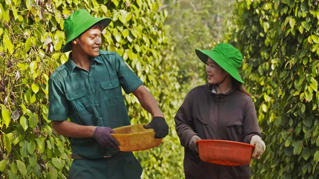 Approvisionnement durable