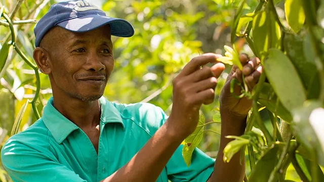Chaînes d’approvisionnement éthiques