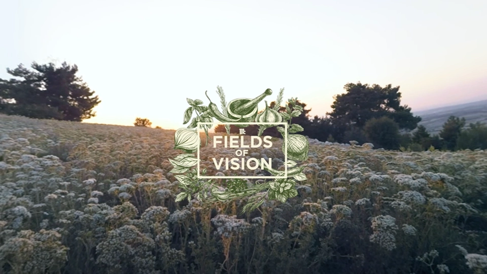 Rencontrez Fatma et explorez les champs d’origan de Turquie pendant la récolte.