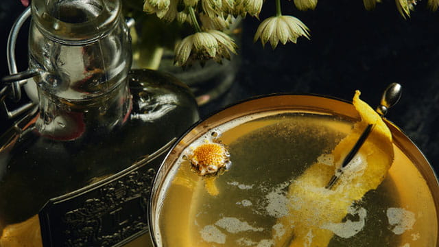 Sparkling Lightning in A Bottle